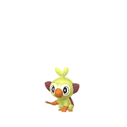 Grookey